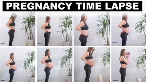 Adorable Pregnancy Time Lapse